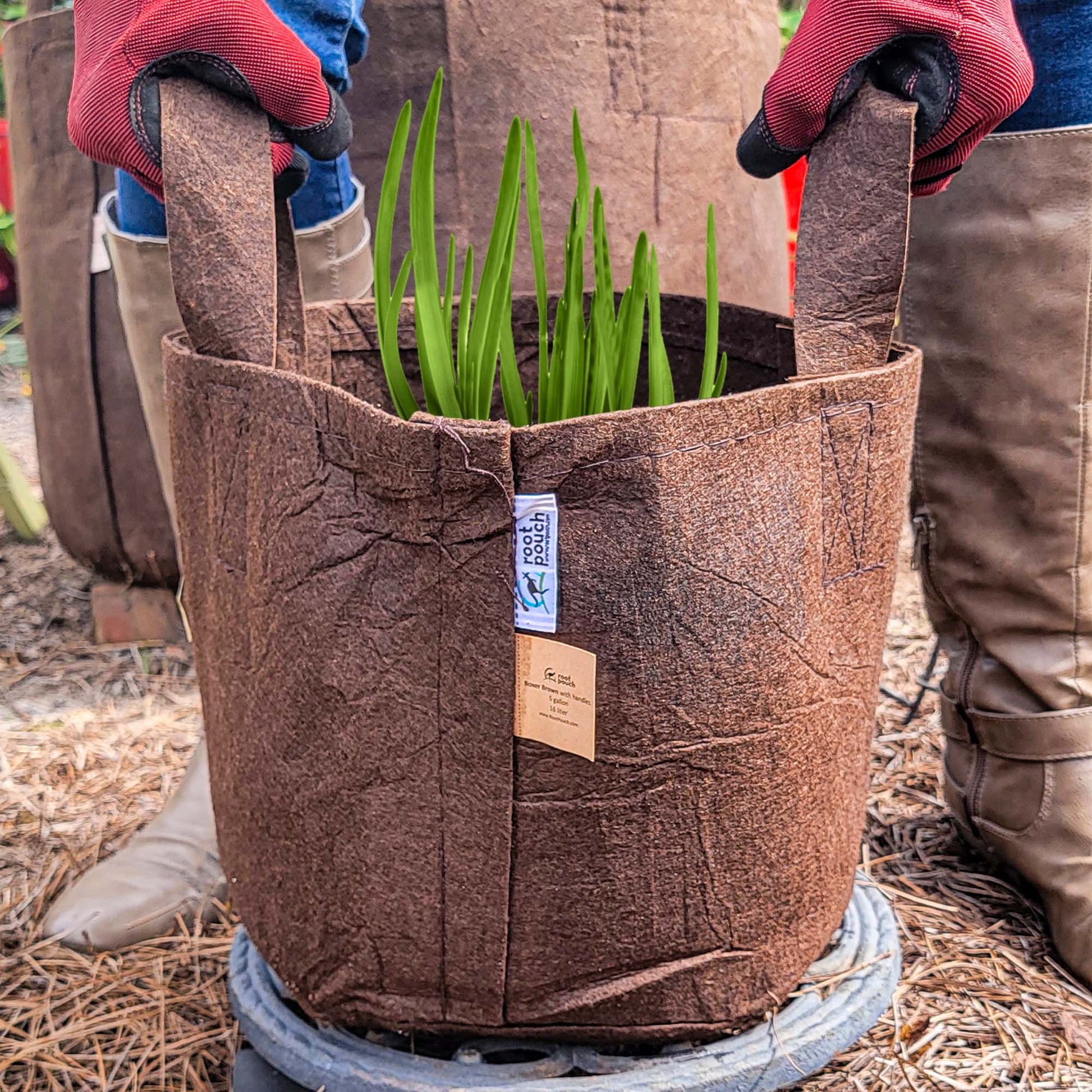  Root Pouch - 5 Gallon