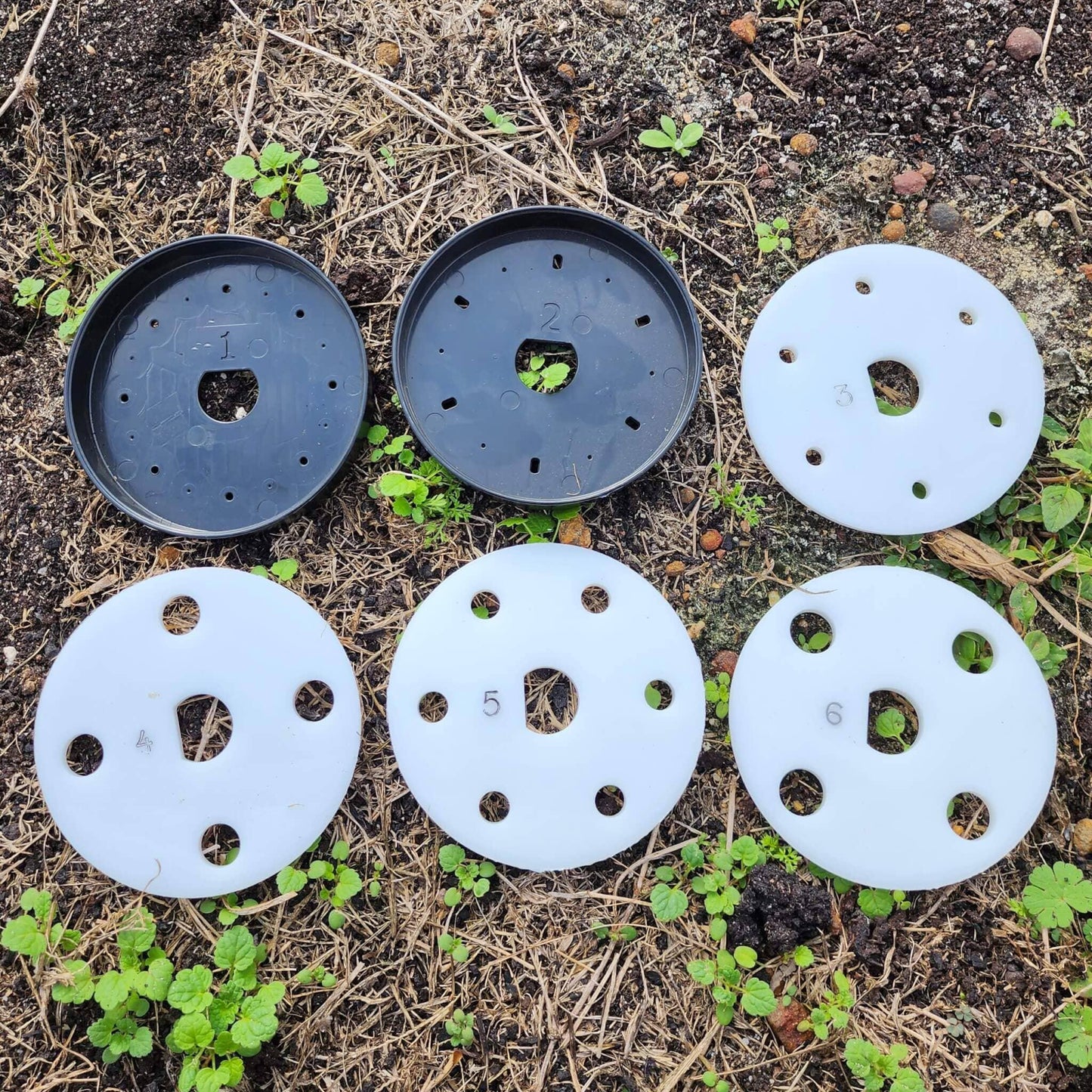 Seed Plates