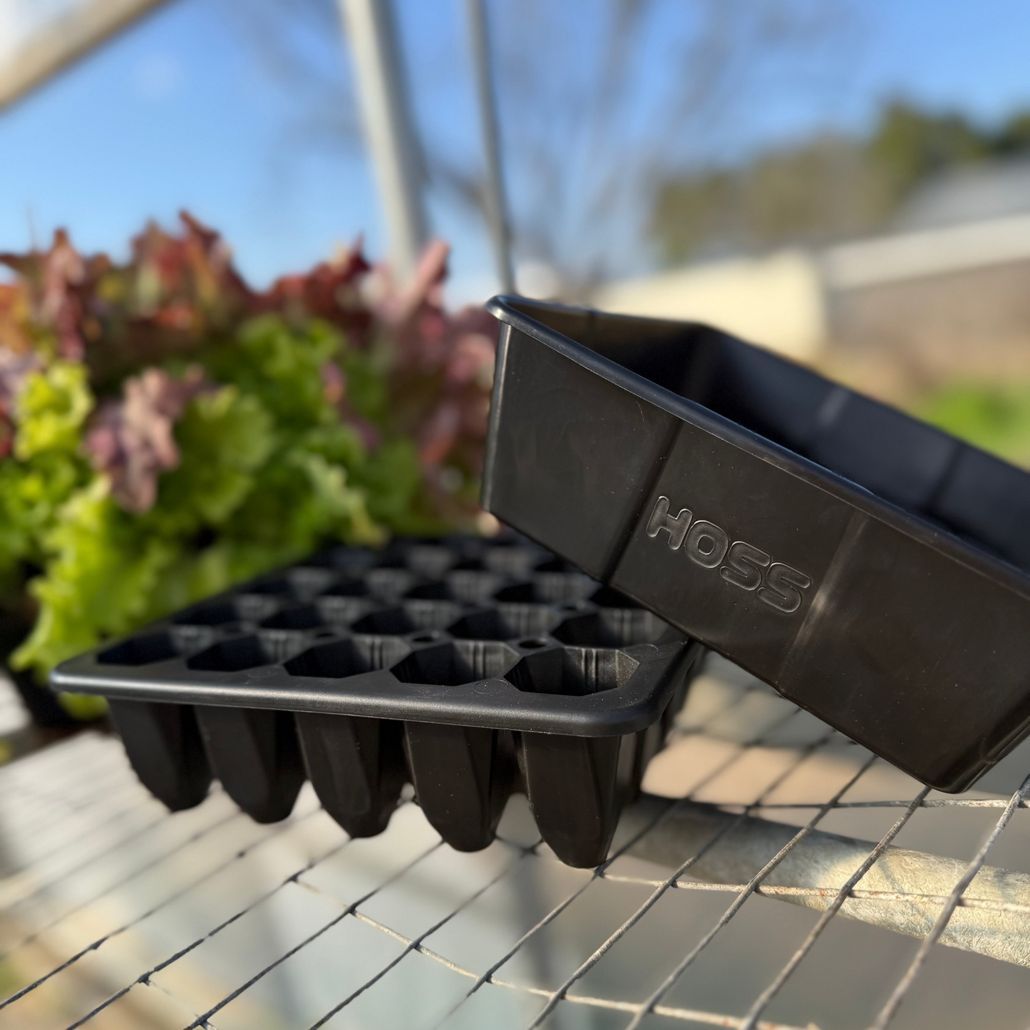  25 Cell Seed Starting Tray