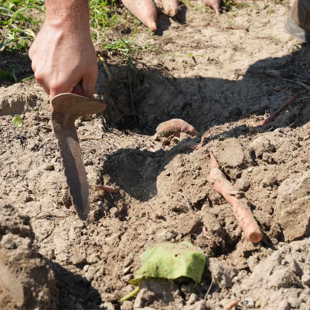  Digging Tool