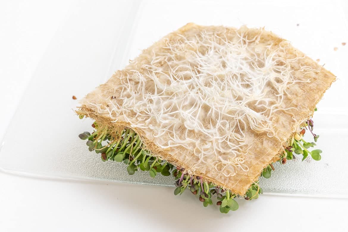  5x5 Grow Mats