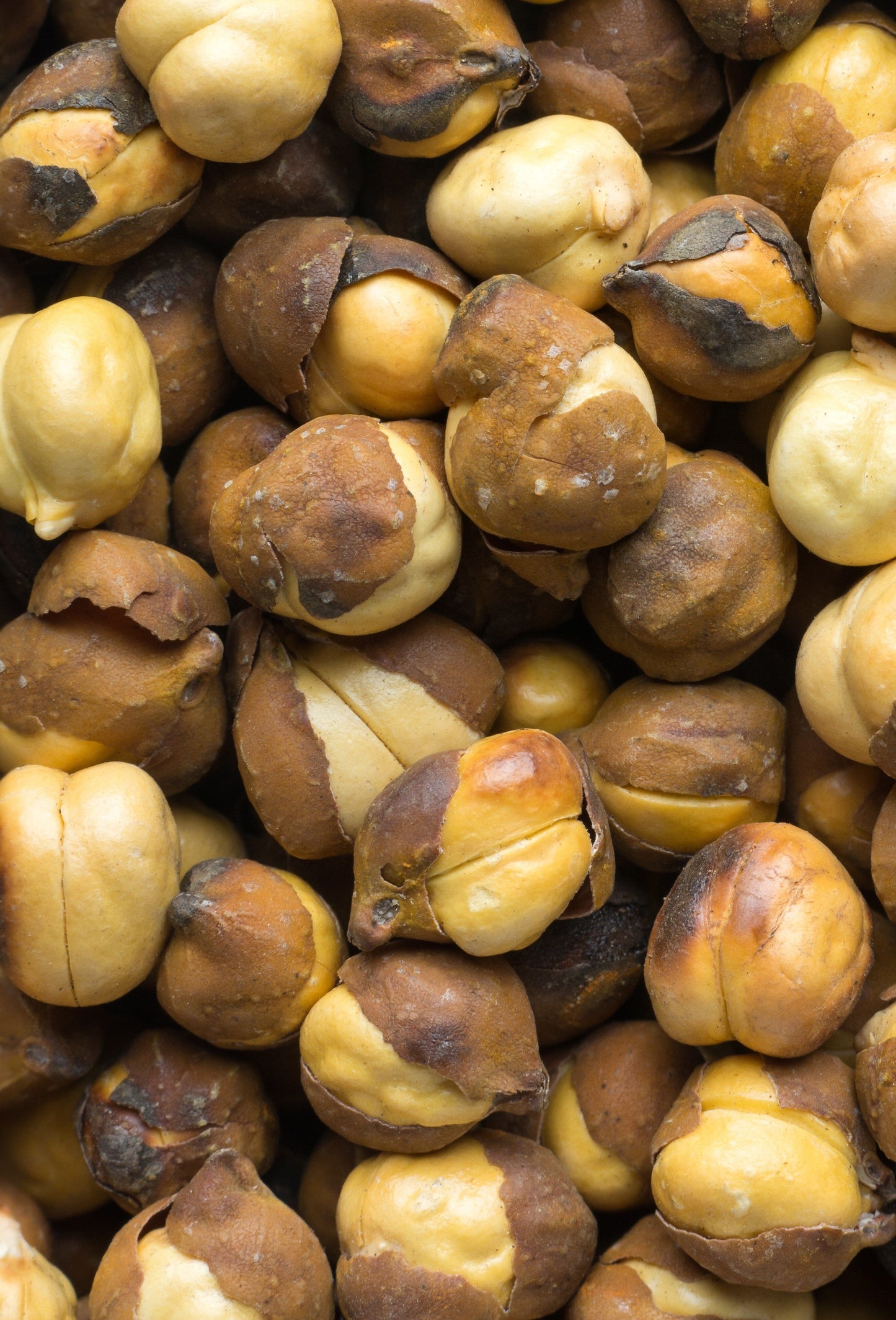  Desi Chickpea