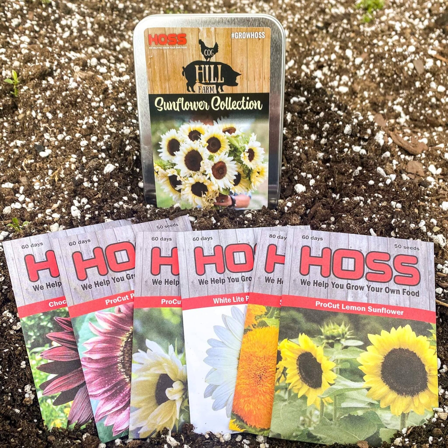  Cog Hill Farm Sunflower Collection