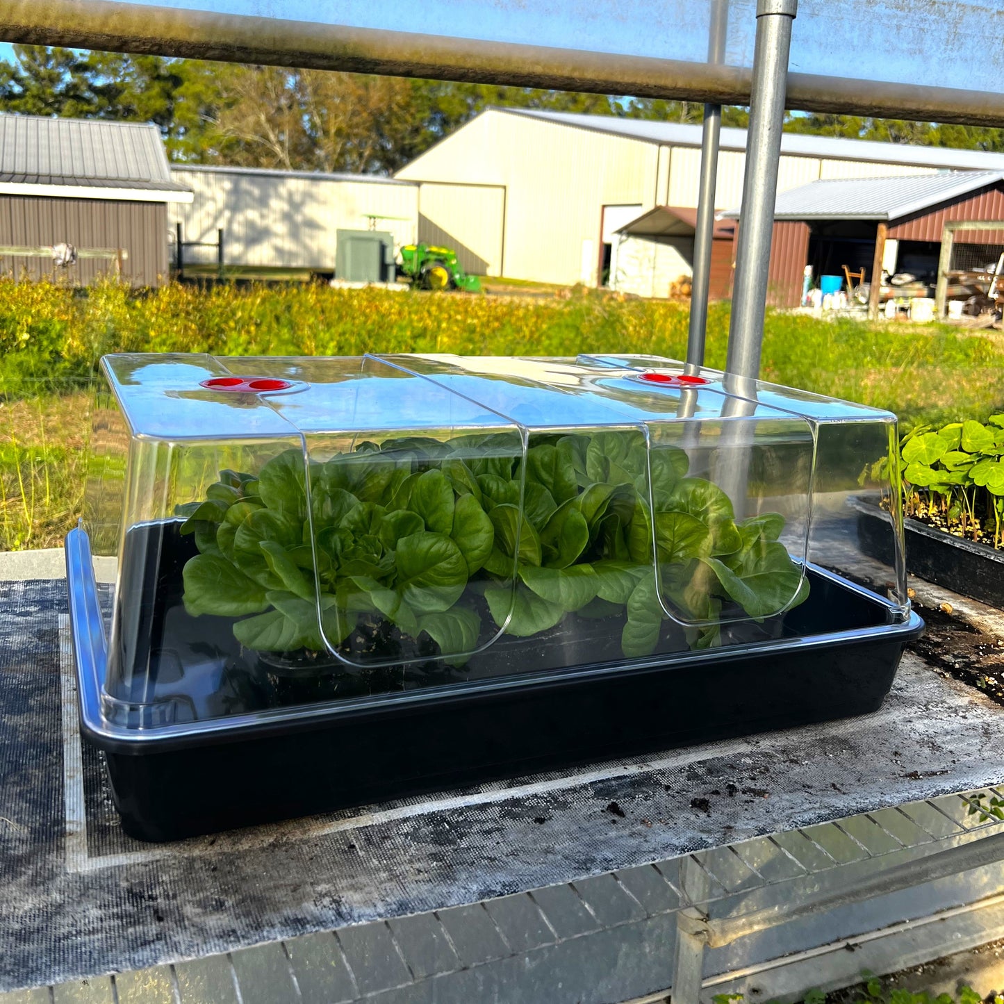  Deluxe Seed Starting Kit