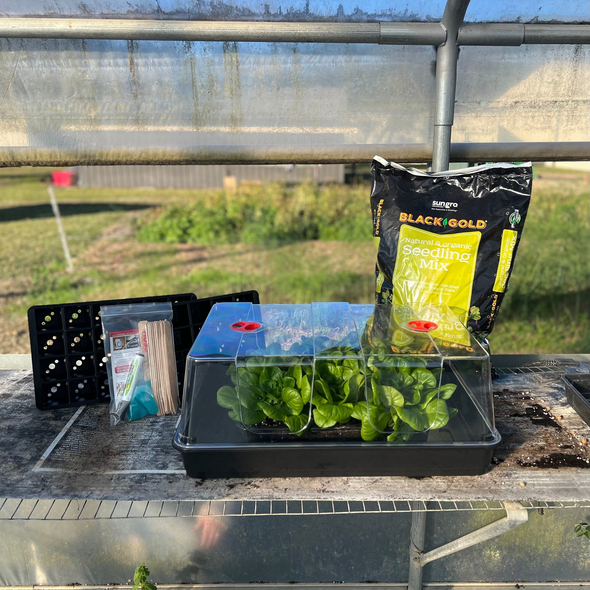  Deluxe Seed Starting Kit