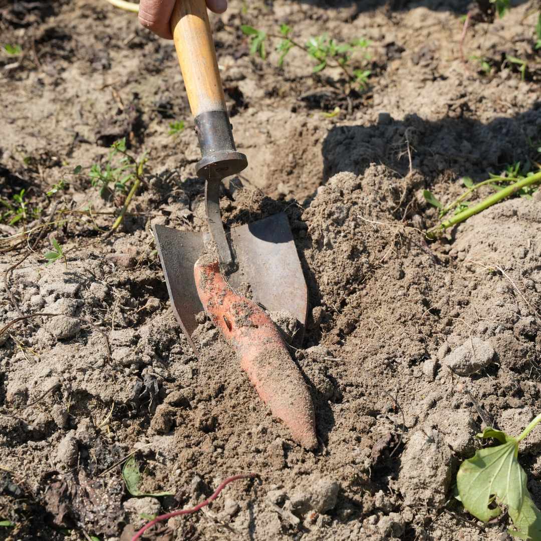 Hand Shovel