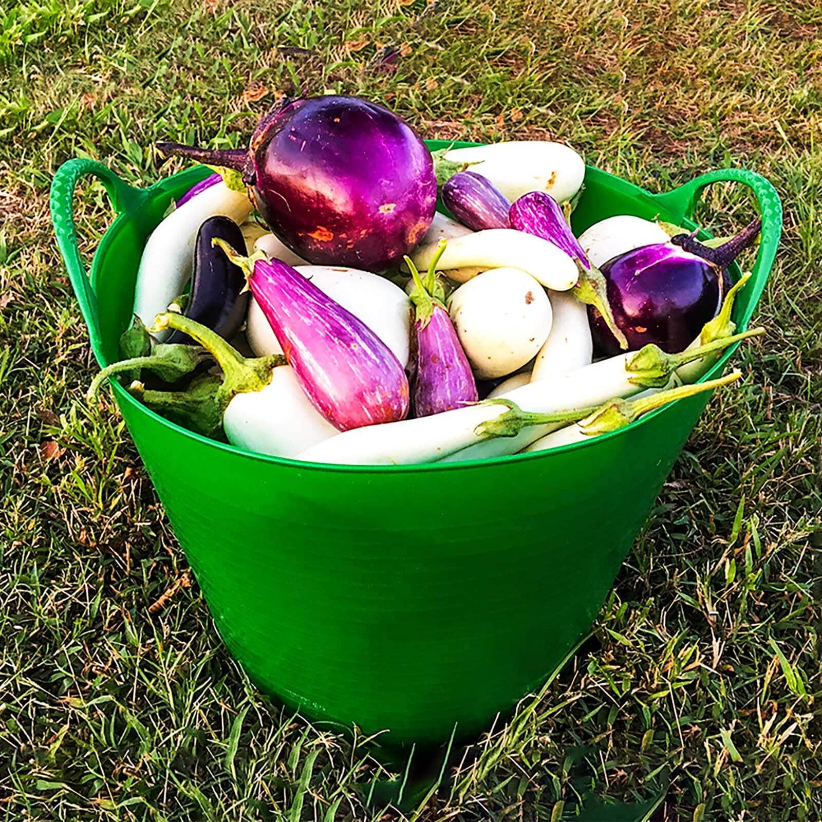  Medium Tubtrug - 6.9 Gallons