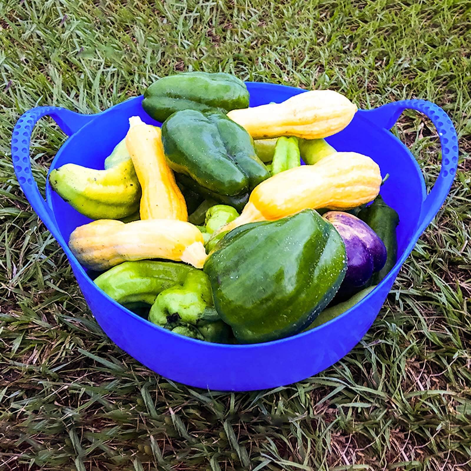  Mini Shallow Tubtrug - 1.3 Gallon