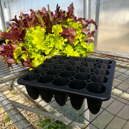  25 Cell Seed Starting Tray