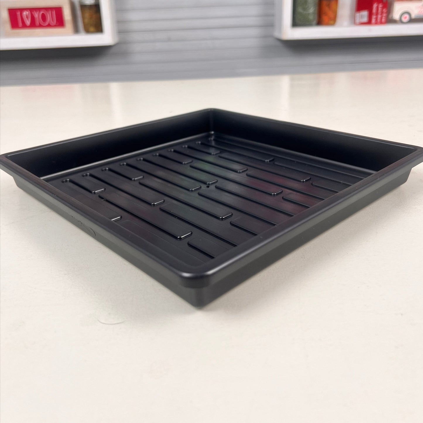  1010 Shallow Microgreen Tray