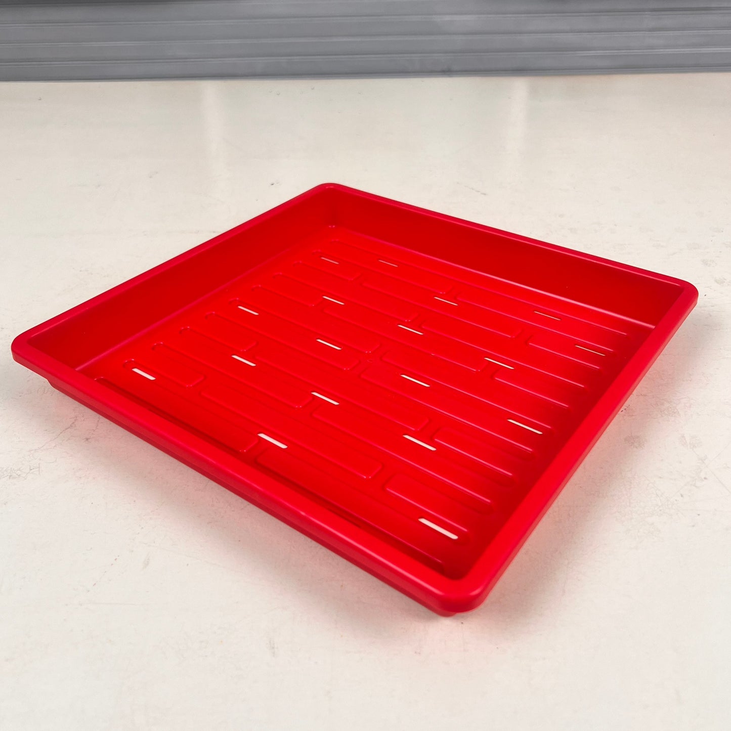  1010 Shallow Microgreen Tray