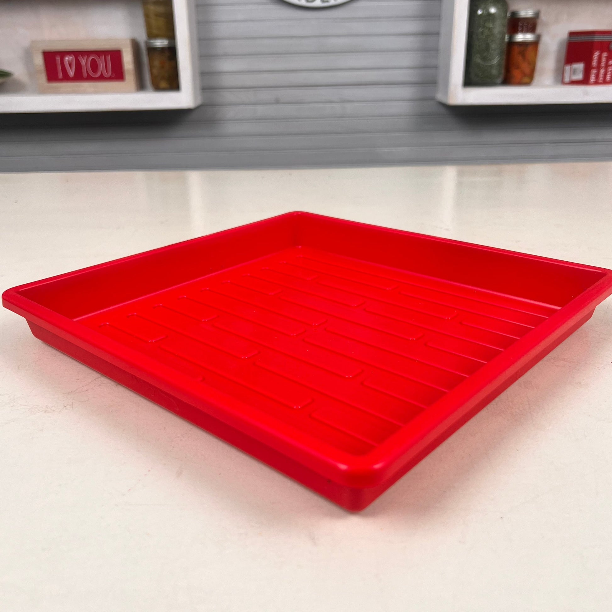  1010 Shallow Microgreen Tray