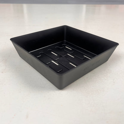  5x5 Shallow Microgreen Tray