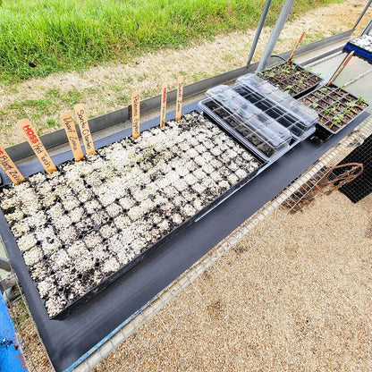  Hoss Germination Mat (150 Watt)