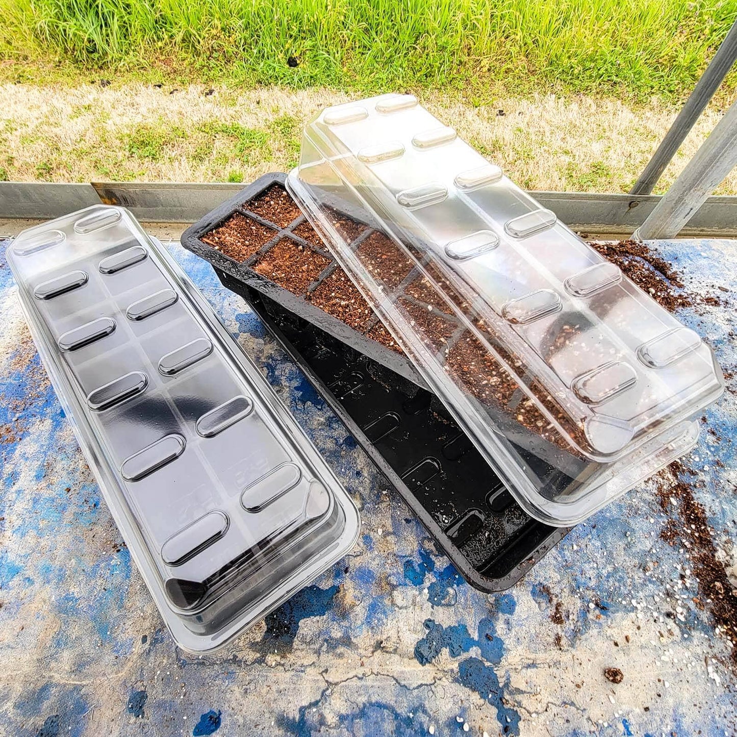  24 Cell Seed Starting Kit