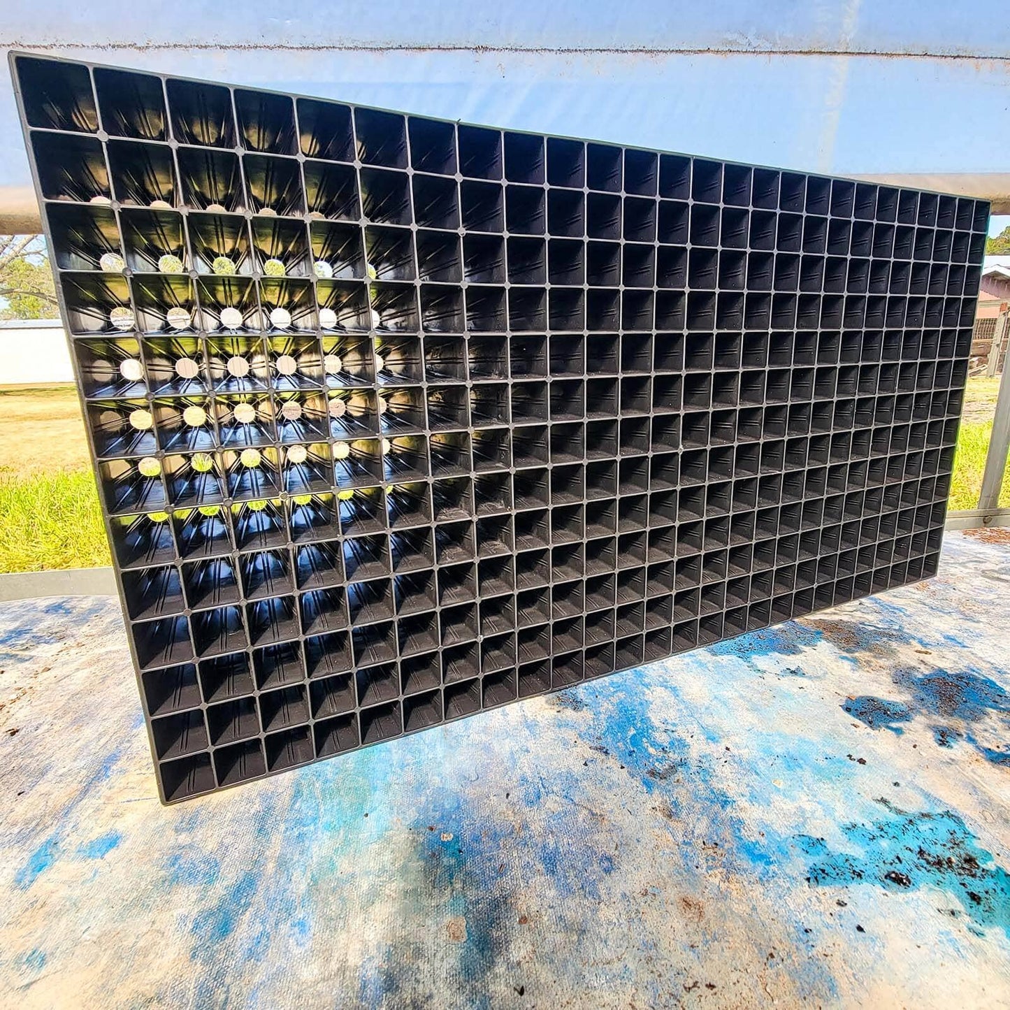  338 Cell Seed Starting Trays