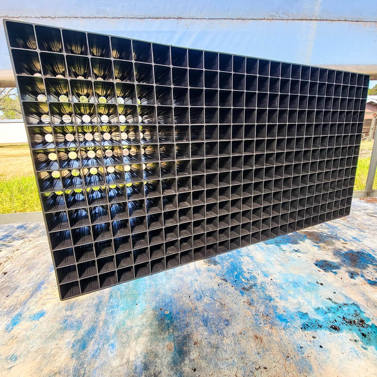  338 Cell Seed Starting Trays