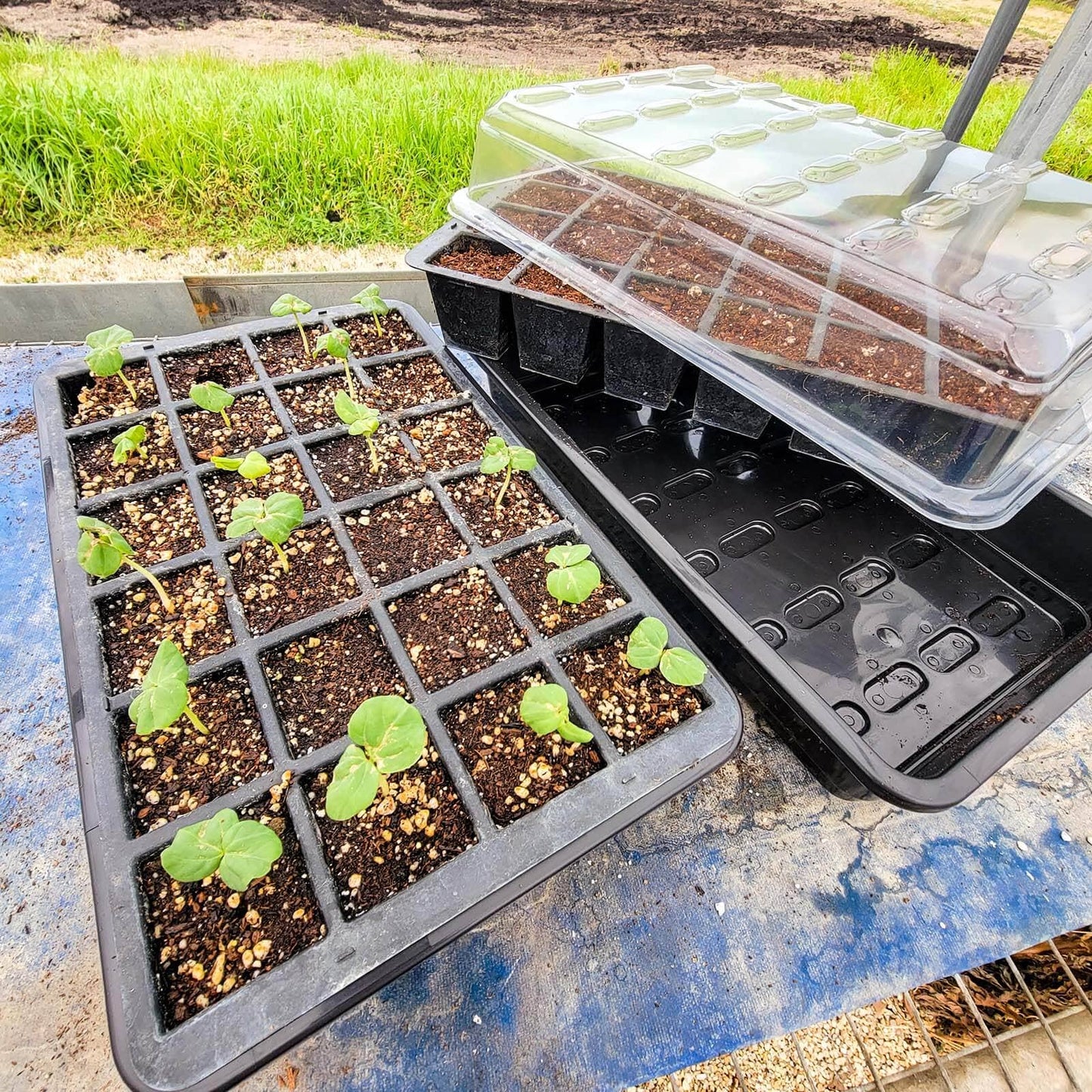 48 Cell Seed Starting Kit
