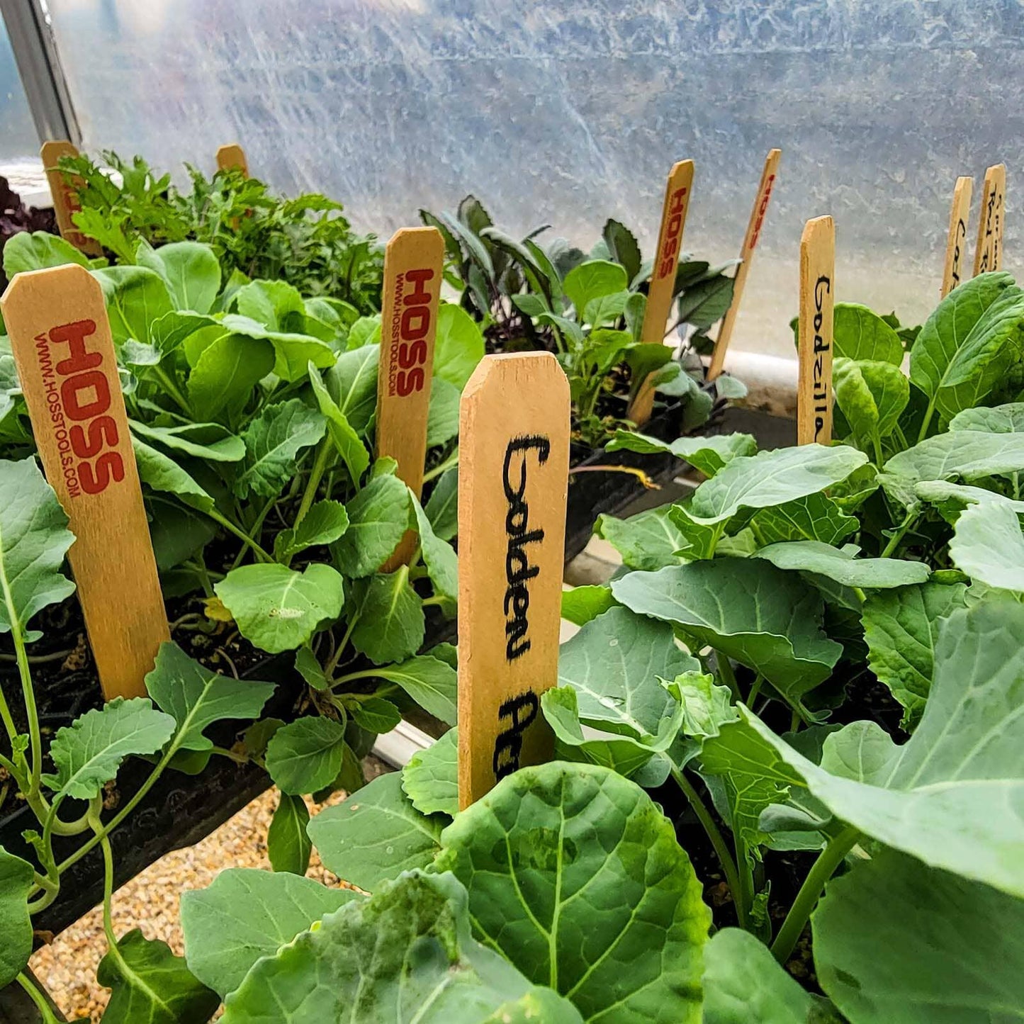  Wooden Garden Labels