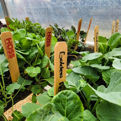  Wooden Garden Labels
