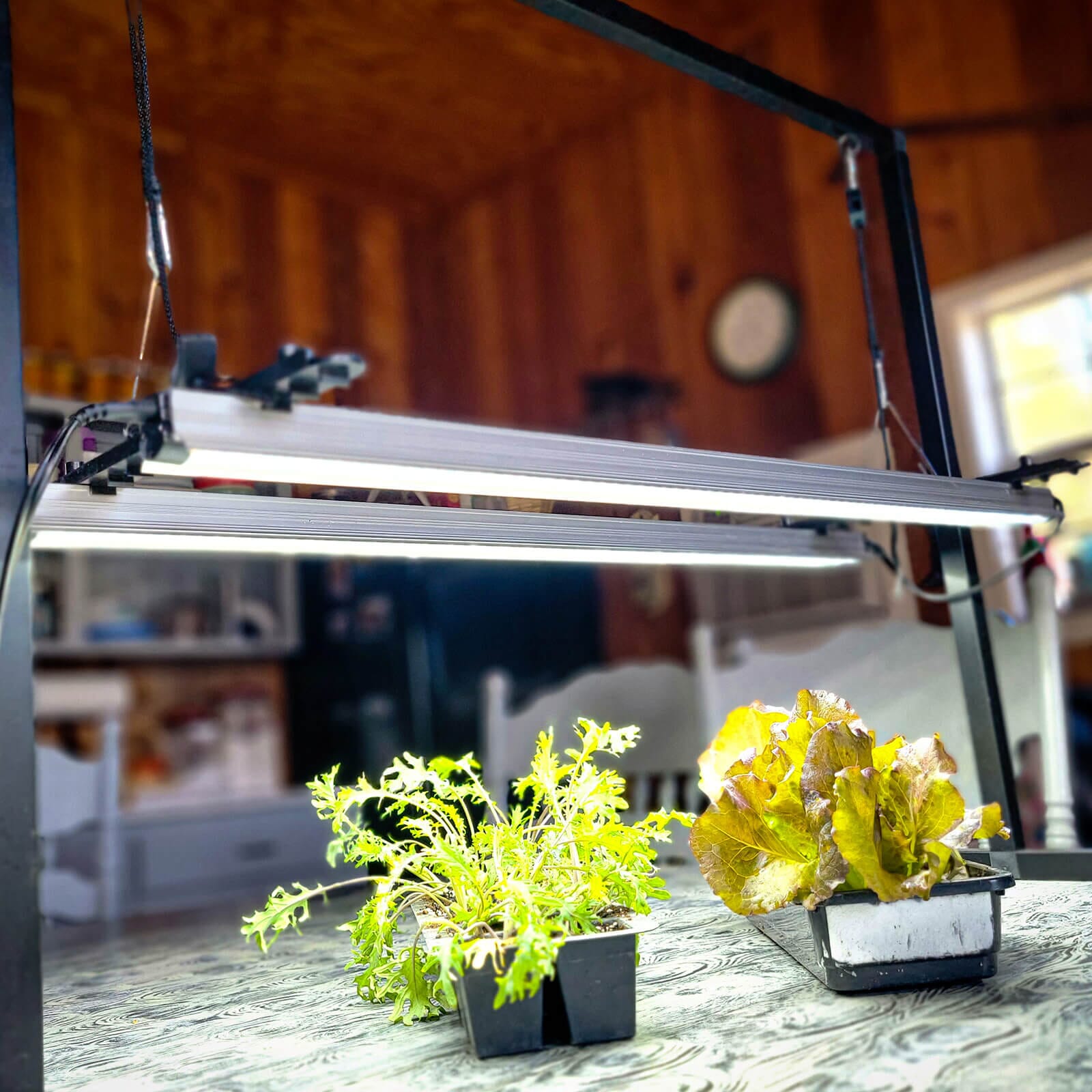  Hanging Grow Light Kit