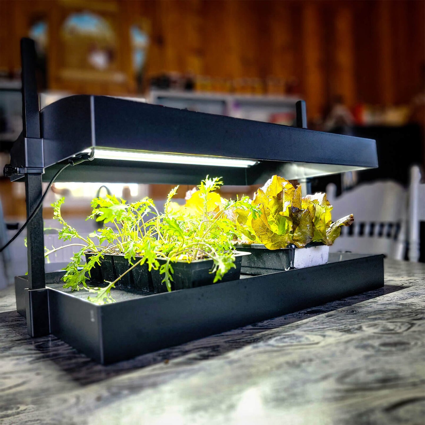  Indoor Seed Starting Light Kit
