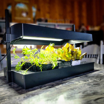  Indoor Seed Starting Light Kit