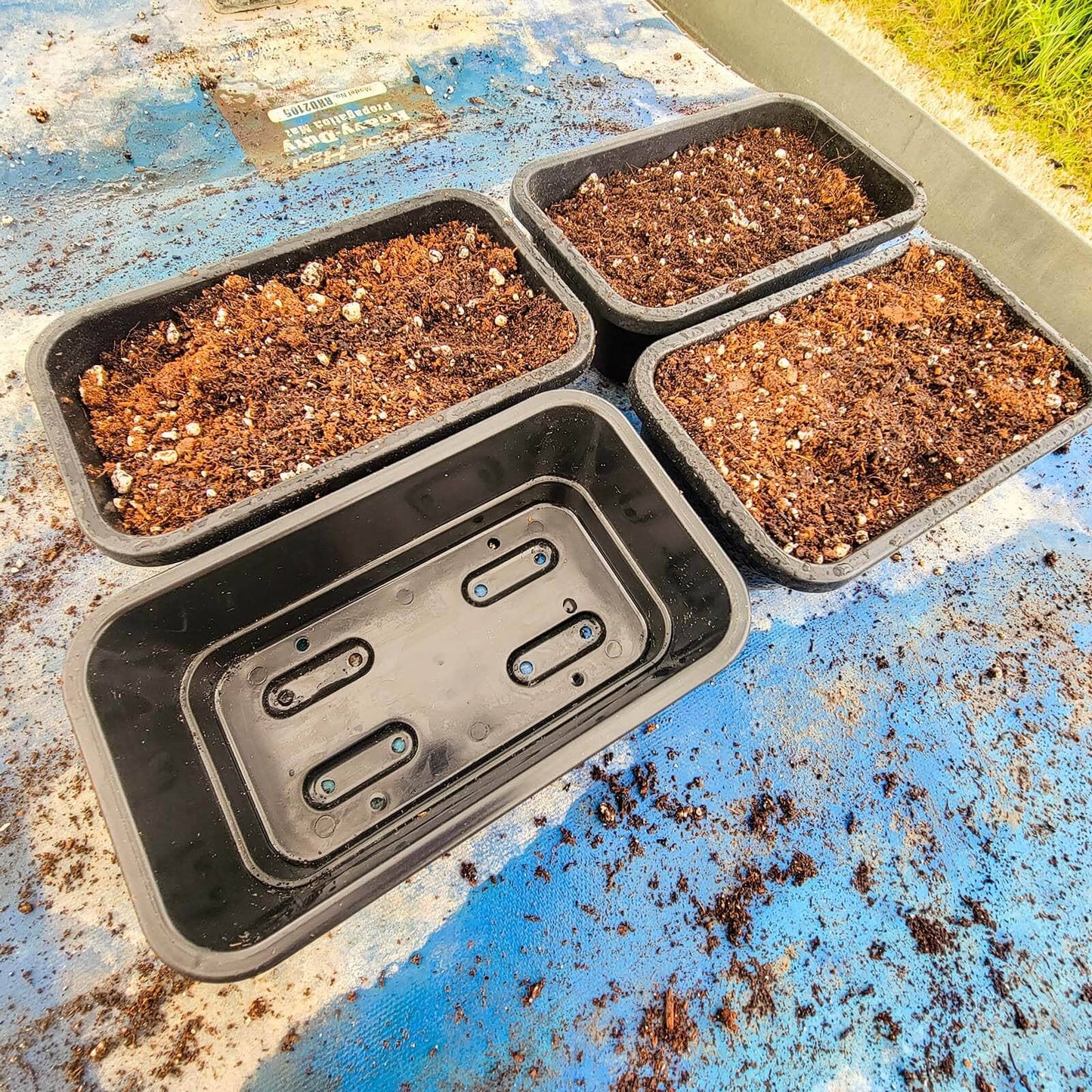  Small Seed Starting Tray