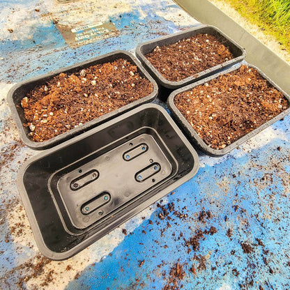  Small Seed Starting Tray