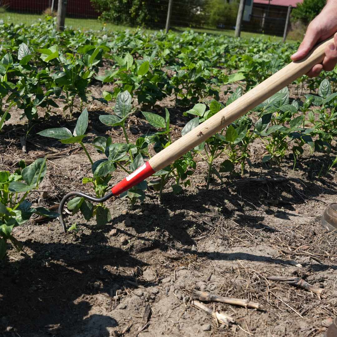  Short Single Tine Cultivator