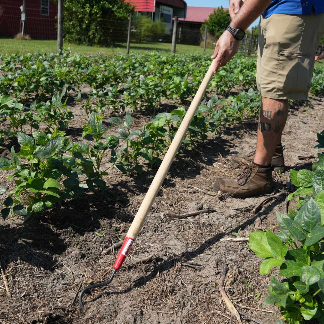  Single Tine Cultivator