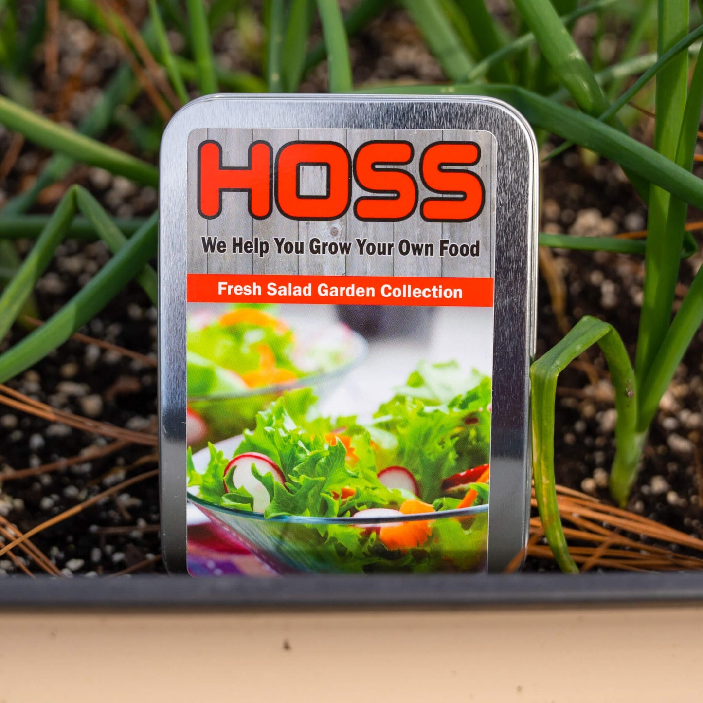  Fresh Salad Garden Collection