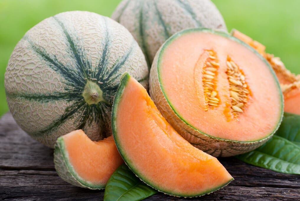  Cantaloupe Microgreens