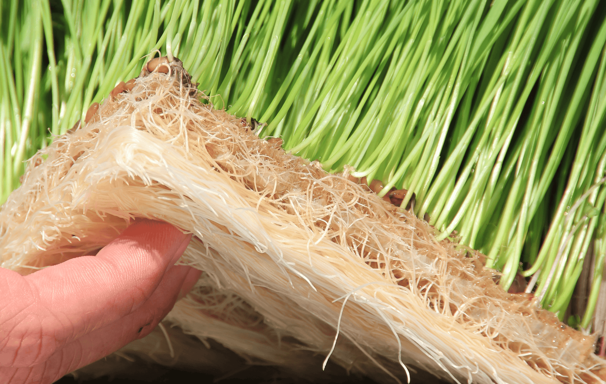  1020 Grow Mats